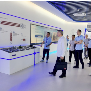 2025年5月 拓市场·促内销-浙江省电气行业协会专家组调研正点游戏电气集团